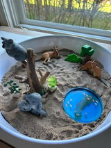 survivalofthesahm review photo