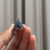 Holo review photo