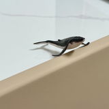 PAMPO review photo