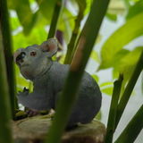 Debra review photo