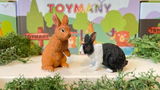 dutch_animalcollector review photo