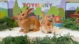 dutch_animalcollector review photo