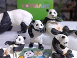 @funimalia.alamir.id review photo