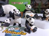 @funimalia.alamir.id review photo