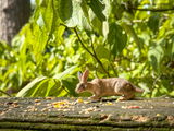 _wonderful.photography review photo