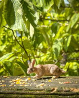 _wonderful.photography review photo