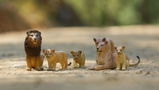 _wonderful.photography review photo