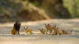 _wonderful.photography review photo