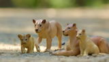 _wonderful.photography review photo