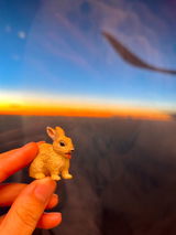 Wonderful photography review photo