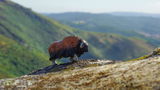 Wonderful photography review photo