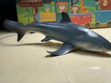 Crosby E. review photo