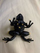 Thomo review photo