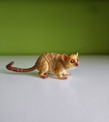 nightlioness_collections review photo