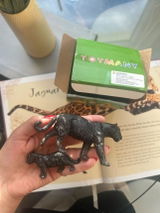 Leigha review photo