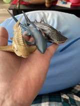 Vafrous review photo