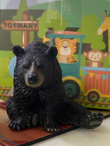 Riley review photo