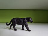 nightlioness_collections review photo