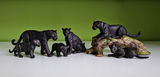 nightlioness_collections review photo