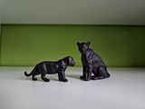 nightlioness_collections review photo