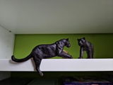 nightlioness_collections review photo