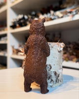 dutch_animalcollector review photo