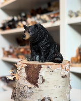 dutch_animalcollector review photo