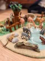 the_new_forest_nest review photo