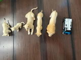 C review photo