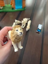 C review photo