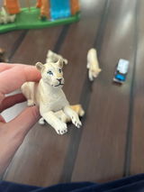 C review photo