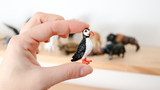 minizoo review photo