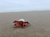 karin hogeboom review photo