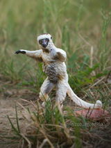 zoo_moravia review photo