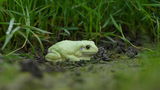 _wonderful.photography review photo
