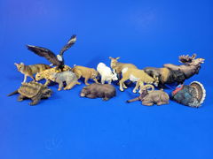 Review picture