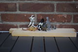 my_minianature_collection review photo
