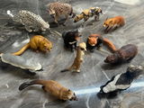 AnimalArchive review photo