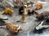 AnimalArchive review photo