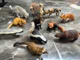 AnimalArchive review photo