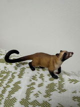 WildlifeShelfTom review photo