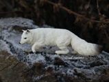 zoo_moravia review photo
