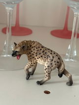 Logan Price review photo
