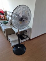 Chin Wai Ling (Review Imported From our Toyomi Official Lazada Store) review photo