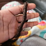 Shy review photo