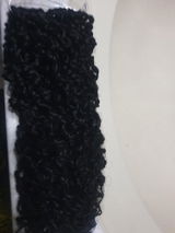 shellp review photo