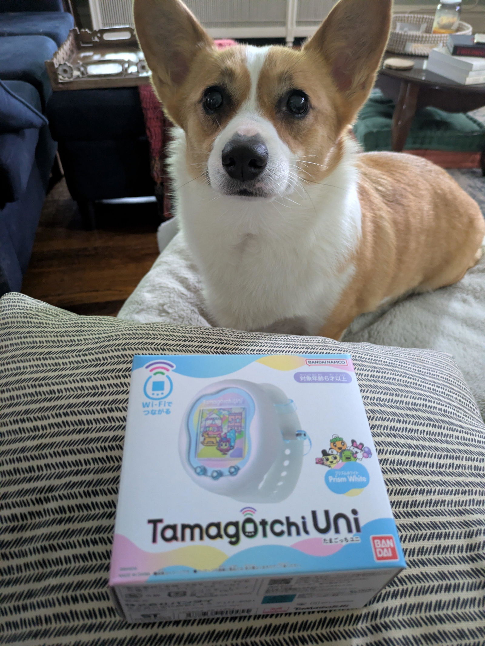 BANDAI Tamagotchi Uni Prism White JAPAN OFFICIAL — ToysOneJapan