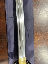 Trenton Ashizawa review photo