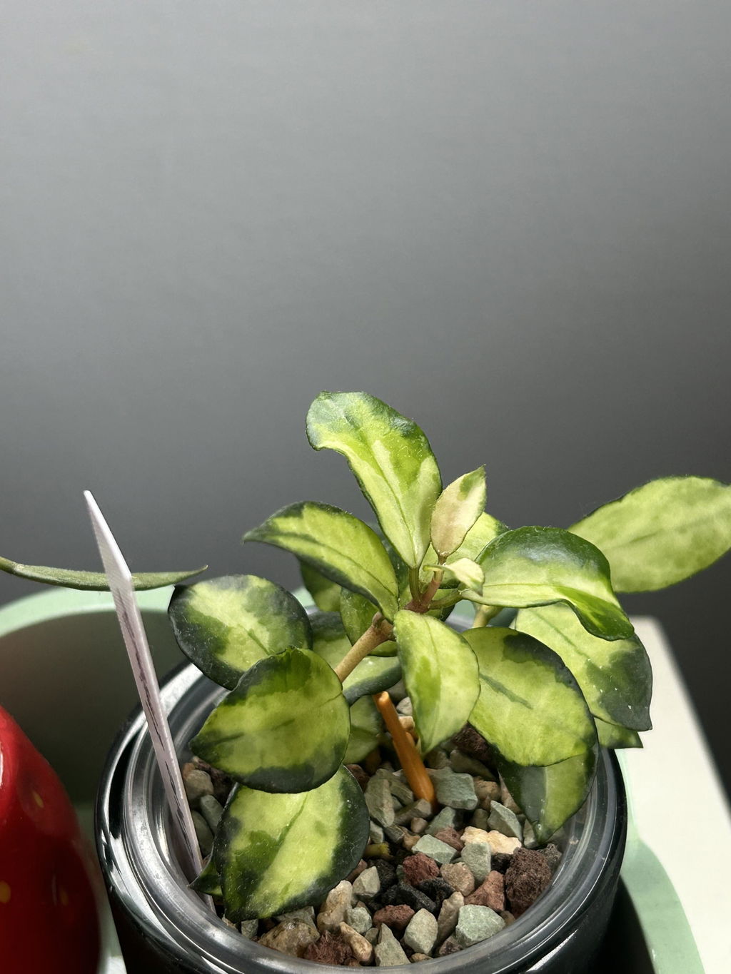 Review photo from Kateryna