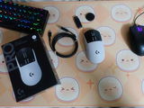 Mithil Agrawal review photo
